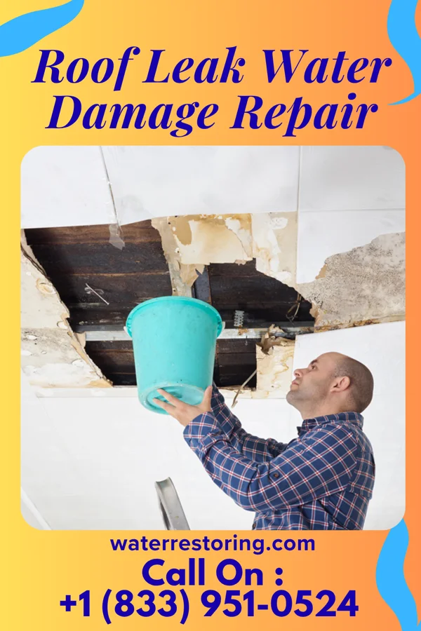 Roof Leak Water Damage Repair in Cannelton, IN