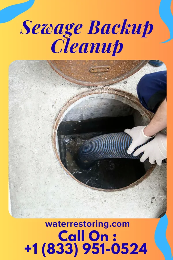 Sewage Backup Cleanup in Cannelton, IN